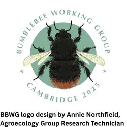 The Bumblebee Working Group Logo design by Annie Northfield,  Agroecology Group Research Technician