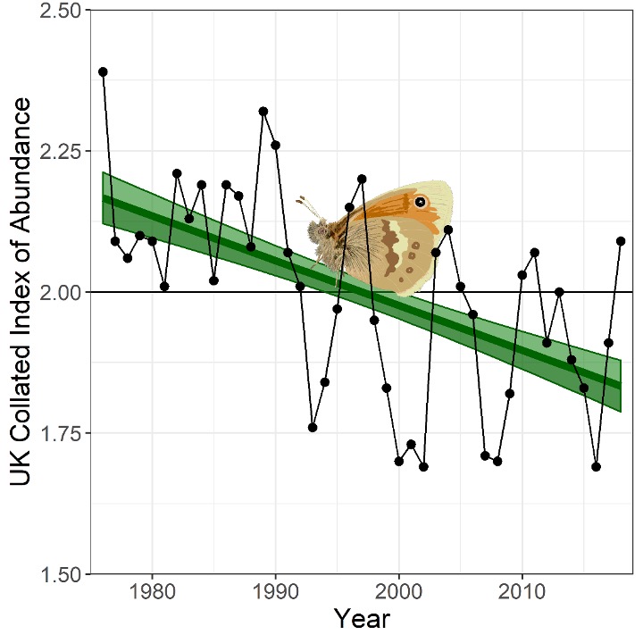 The decline in abundance of small heath in the UK. Black line shows annual fluctuation. Green line shows smoothed trend and confidence interval. Data: UK Butterfly Monitoring Scheme.
