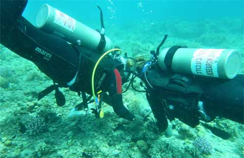 Maddie Emms and a colleague catching damselfish in front of the Inter-University Institute for Marine Sciences in the Gulf of Aqaba, Red Sea