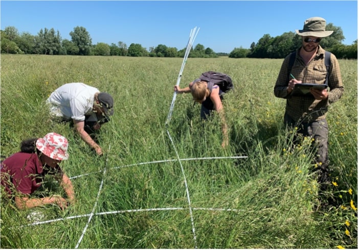 Group photo of myself and Wildlife Trust staff carrying out vegetation surveys at Trumpington Meadows Reserve, Cambridgeshire. Photo taken by Becky Green for The Wildlife Trust BCN.