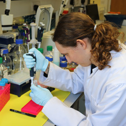 Student at laboratory workbench