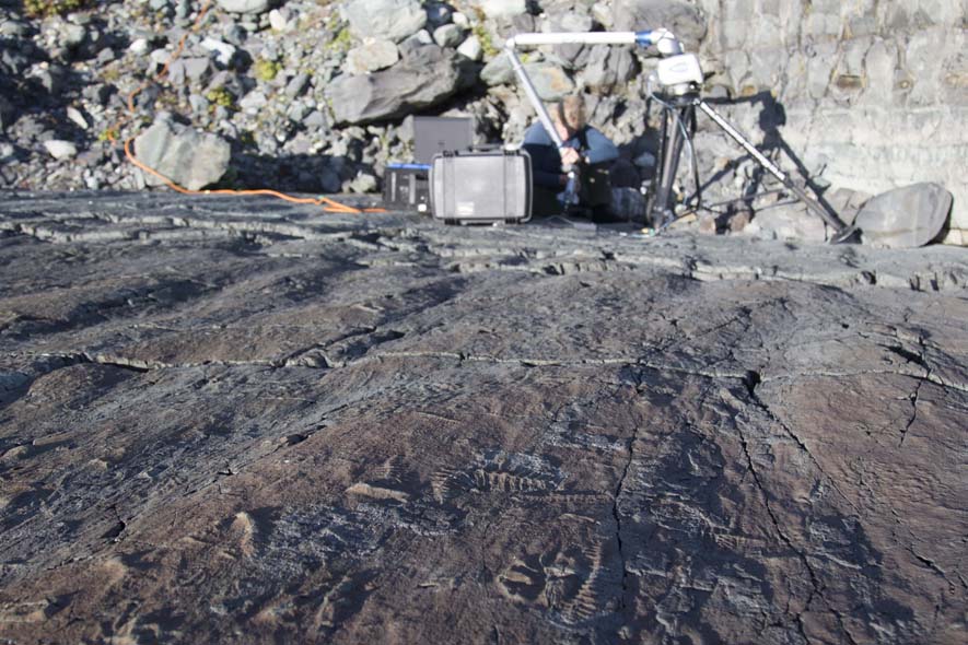 Dr Mitchell laser-scanning the E surface, Mistaken Point. In the foreground Ediacaran organisms such as Fractofusus are visible. Due to the subtle features of the fossils, they are only clearly visible for a particular angle of sunlight, as shown here.