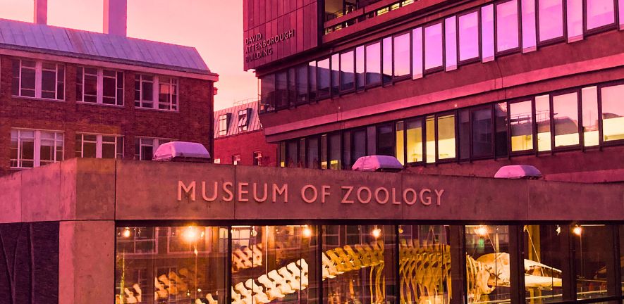 The Department of Zoology buildings at sunset photo by Louise Balshaw