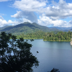 Kenyir Lake and surrounding Taman Negara rainforest