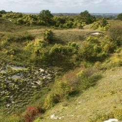 Totternhoe Quarry Nature Reserve, managed by the Wildlife Trust for Bedfordshire, Cambridgeshire and Northamptonshire. Photograph taken by Andrew Bladon.