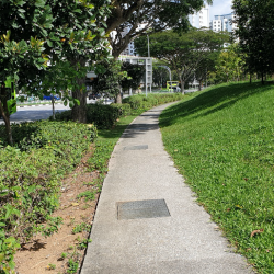 An example of a Nature Way next to the road