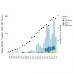 Both oil palm production and number of publications have increased greatly in the last decade across all regions.