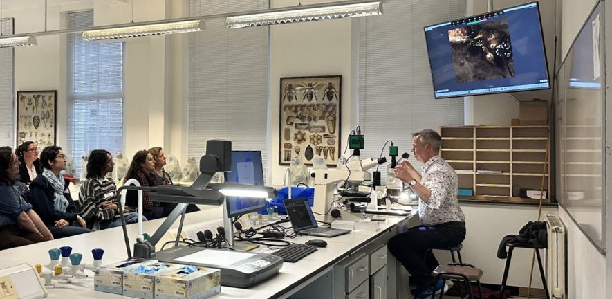 Professor Mark Brown (Royal Holloway) giving a bumblebee dissection workshop in the Zoology Teaching Lab. Professor Mark Brown (Royal Holloway) giving a bumblebee dissection workshop in the Zoology Teaching Lab.
