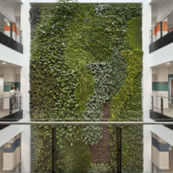View of the green wall in the David Attenborough Building, Cambridge.