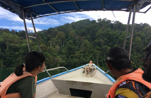 On-boat perspective of our approach into the rainforest