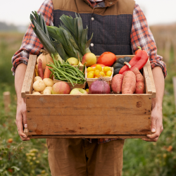Cropped image of someone holding a crate of vegetables