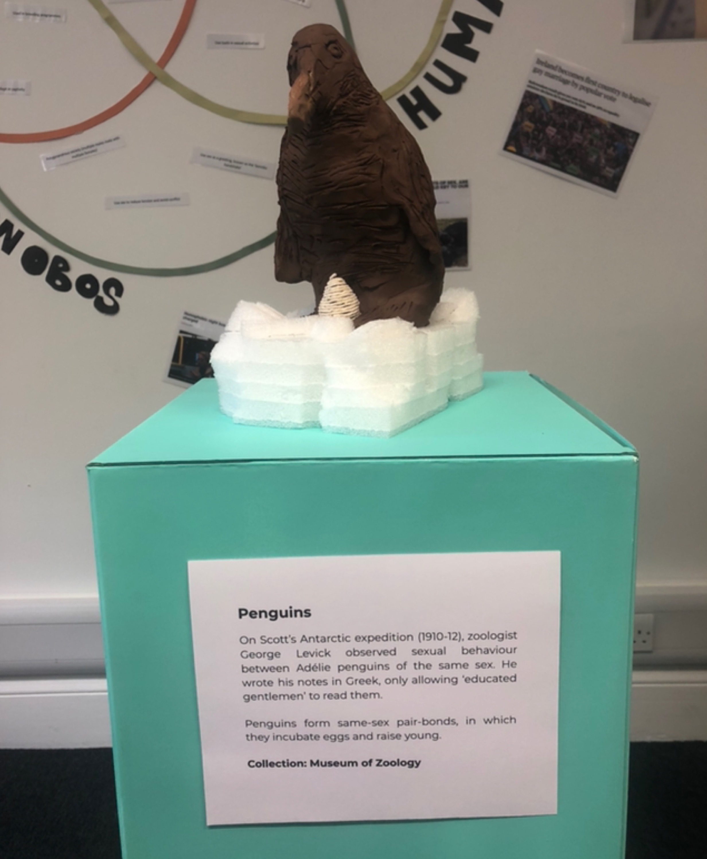 Our representation of a penguin for our pop-up exhibition. We chose to show the penguin standing guard over an egg to highlight how penguins raise young in same-sex couples.