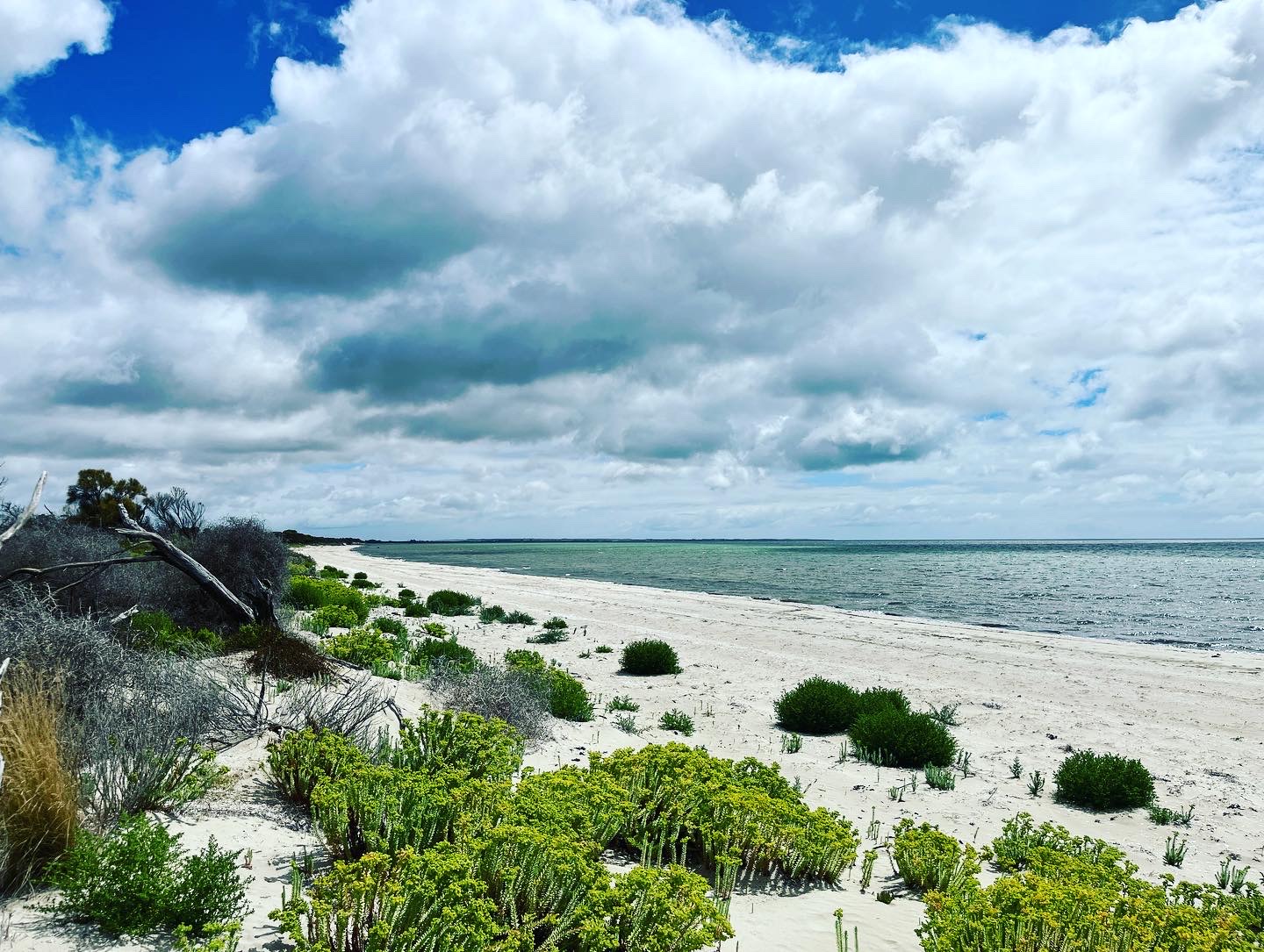 The landscape of Guuranda, the Yorke Peninsula