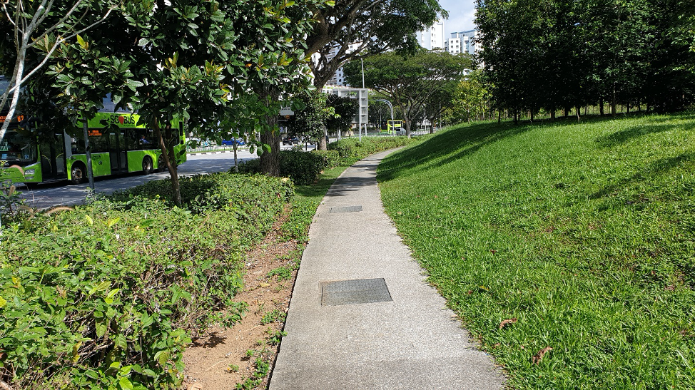 An example of a Nature Way next to the road