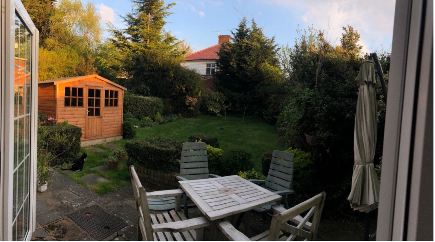 A back garden in an urban area of North London, UK. Photo credit: Kate Howlett. A back garden in an urban area of North London, UK. Photo credit: Kate Howlett.