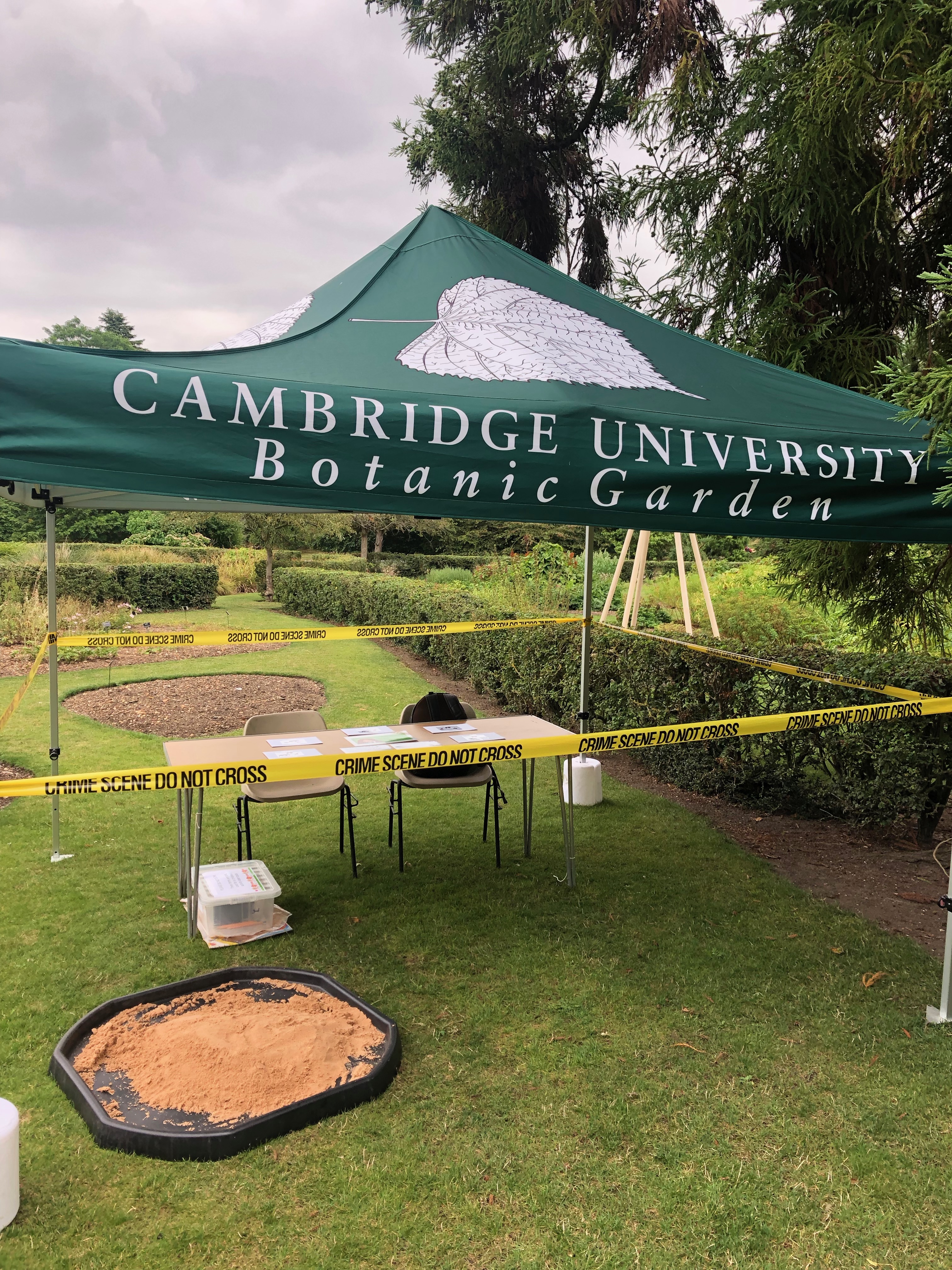 The crime scene at the Cambridge University Botanic Garden where children had to work in teams to decipher which animals had left remains in the sand pit.