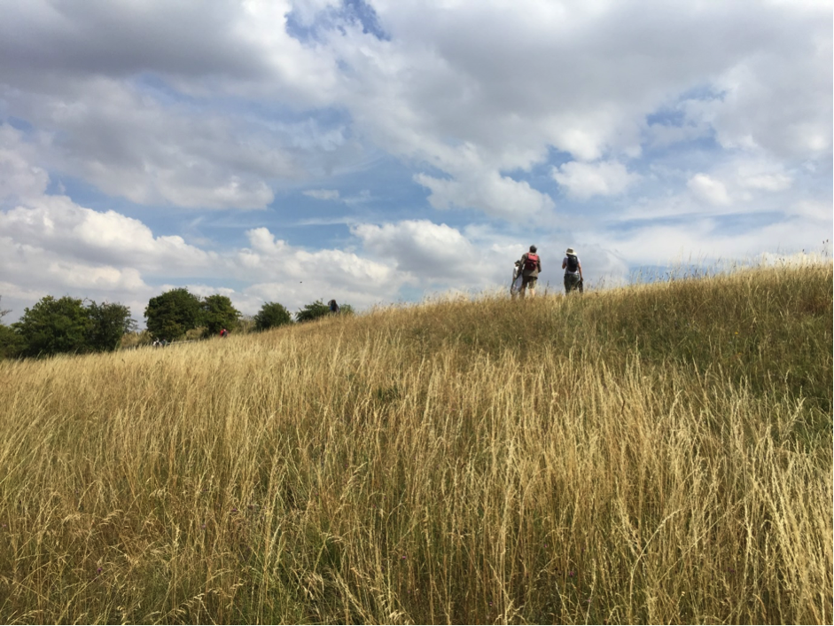 Varied slopes and aspects on reserves can create diverse microclimatic conditions that could help species to cope with the effects of climate change. Blows Downs, Bedfordshire, UK.