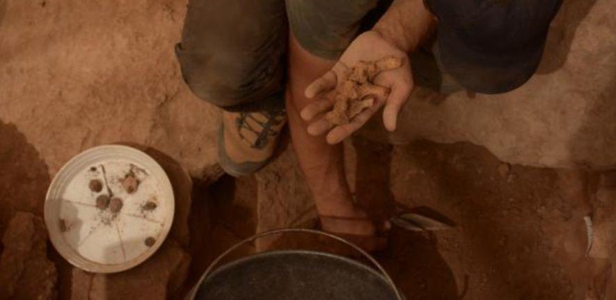  Malta Mesolithic Remains found at the site during excavations. Photo credit: Eleanor Scerri