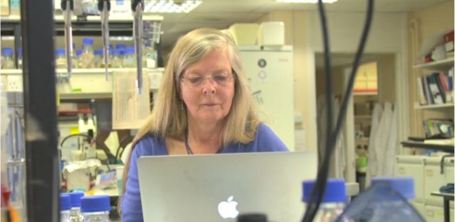 Professor Skaer working in a lab