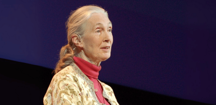 Jane Goodall at TEDGlobal 2007 in Arusha, Tanzania. Photo by Erik (HASH) Hersman