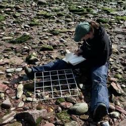 three images of students on the Dale Fort field trip in woodland, on a beach and holding a whelk