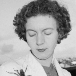 Dr Aola Mary Richards