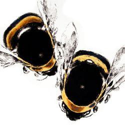 Bees by Louise Bird