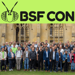 Delegates at BSFCon 2025