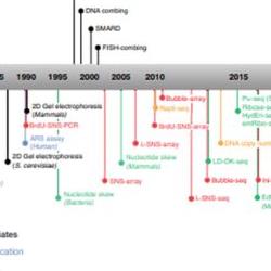The image represents a timeline for the recent development of methods to map DNA replication events in eukaryotic cells (Fig. 1 of Hyrien et al, 2025).