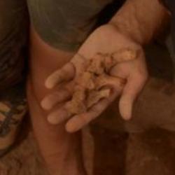  Malta Mesolithic Remains found at the site during excavations. Photo credit: Eleanor Scerri