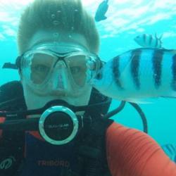 PhD Student Diving