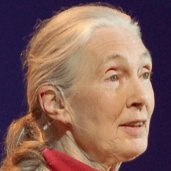 Jane Goodall at TEDGlobal 2007 in Arusha, Tanzania. Photo by Erik (HASH) Hersman