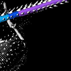 CT scan of a skate shown in lateral view and colour-coded the different regions of the backbone