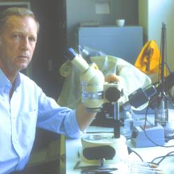 Michael Berridge in his laboratory Picture courtesy Babraham Institute