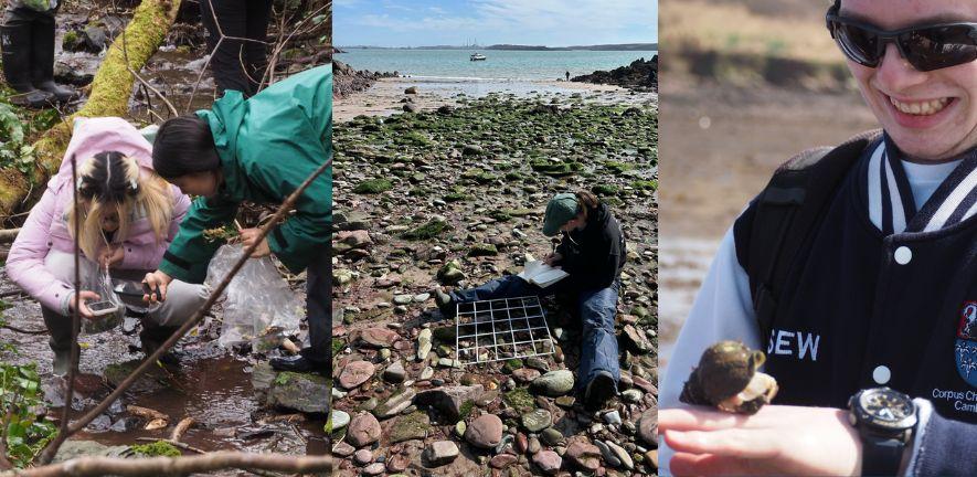 three images of students on the Dale Fort field trip in woodland, on a beach and holding a whelk three images of students on the Dale Fort field trip in woodland, on a beach and holding a whelk
