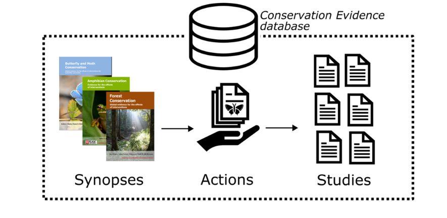 Detail from a figure illustrating the paper Careful design of Large Language Model pipelines enables expert-level retrieval of evidence-based information from syntheses and databases Detail from a figure illustrating the paper Careful design of Large Language Model pipelines enables expert-level retrieval of evidence-based information from syntheses and databases