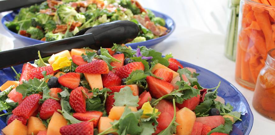 Increasing plant-rich diets is vital to combat climate change