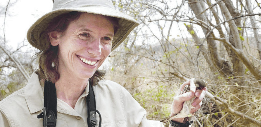 Prof Claire Spottiswoode FRS in the field with a honeyguide. Prof Claire Spottiswoode FRS in the field with a honeyguide.