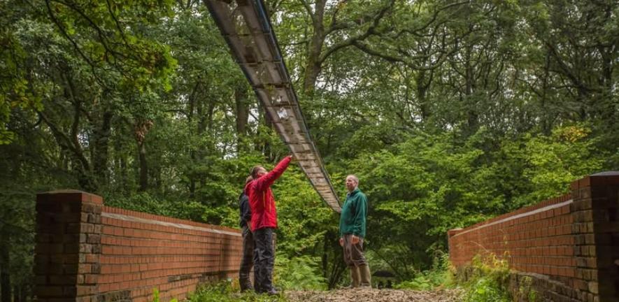 An arboreal wildlife bridge, designed for native dormice after seeing successes in Japan, on the Isle of Wight. It helps to reconnect fragmented woodland patches. Credit: People's Trust for Endangered Species An arboreal wildlife bridge, designed for native dormice after seeing successes in Japan, on the Isle of Wight. It helps to reconnect fragmented woodland patches. Credit: People's Trust for Endangered Species