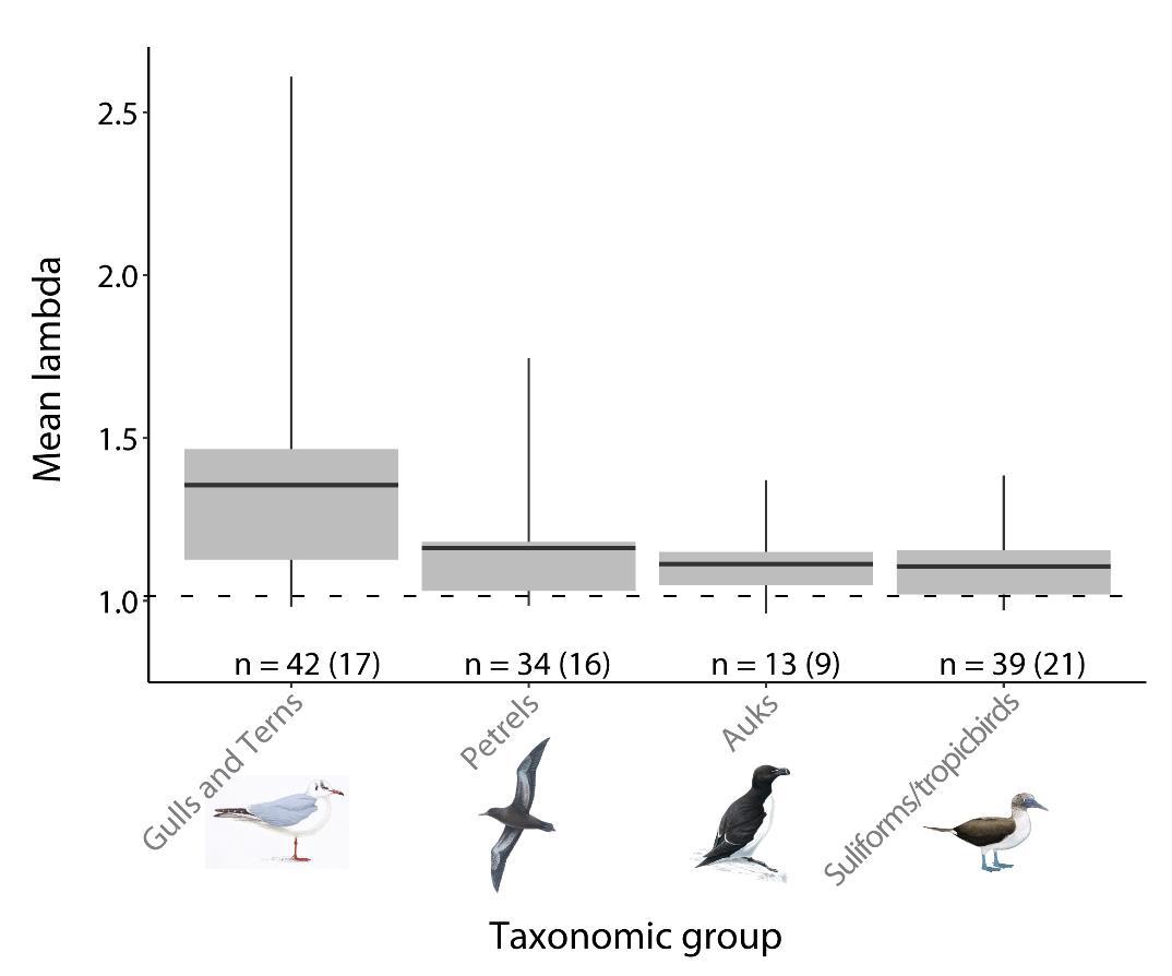 Different groups of seabirds showed different rates of population growth (lambda; lambda = 1 equates to no population change) after vertebrate eradications on their breeding islands. In general gulls and terns increase more rapidly than the other 3 groups