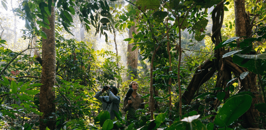 Iris Berger and colleague working in forest in Andhra Pradesh India photo by Oli Broadhead