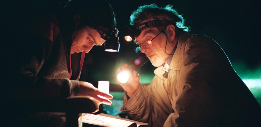 Roger Northfield and colleague checking a moth trap Roger Northfield and colleague checking a moth trap