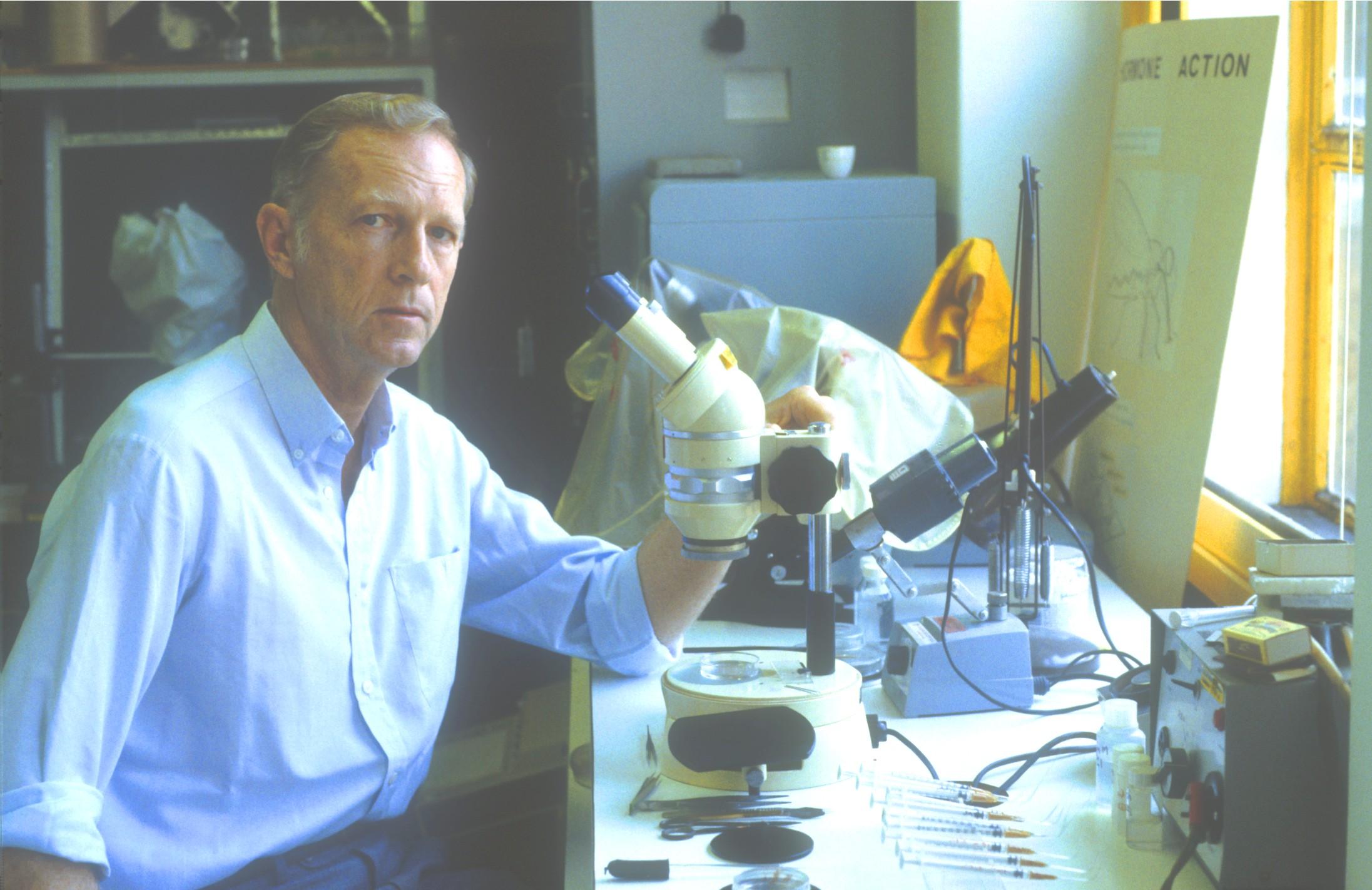 Michael Berridge in his laboratory Picture courtesy Babraham Institute Michael Berridge in his laboratory Picture courtesy Babraham Institute
