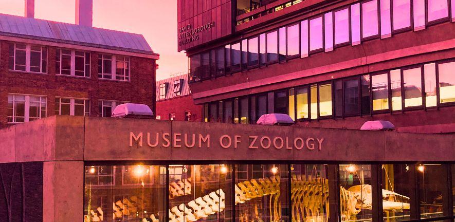 The Department of Zoology buildings at sunset