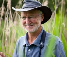 Professor Nick Davies's picture