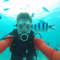 Christian Drerup diving