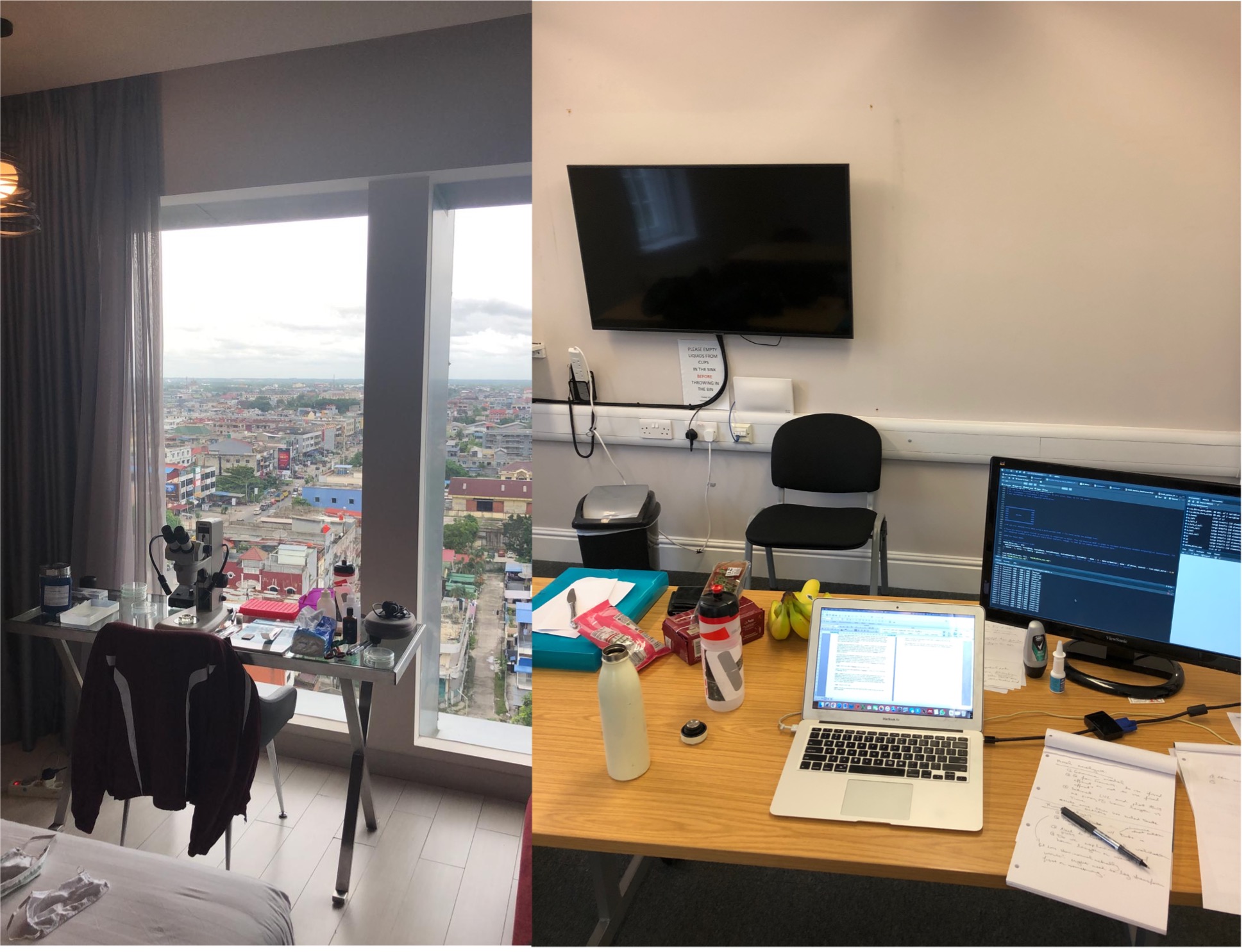 My desk and view whilst quarantining in Pekanbaru (Left) versus my current work set-up in Cambridge, UK (Right).