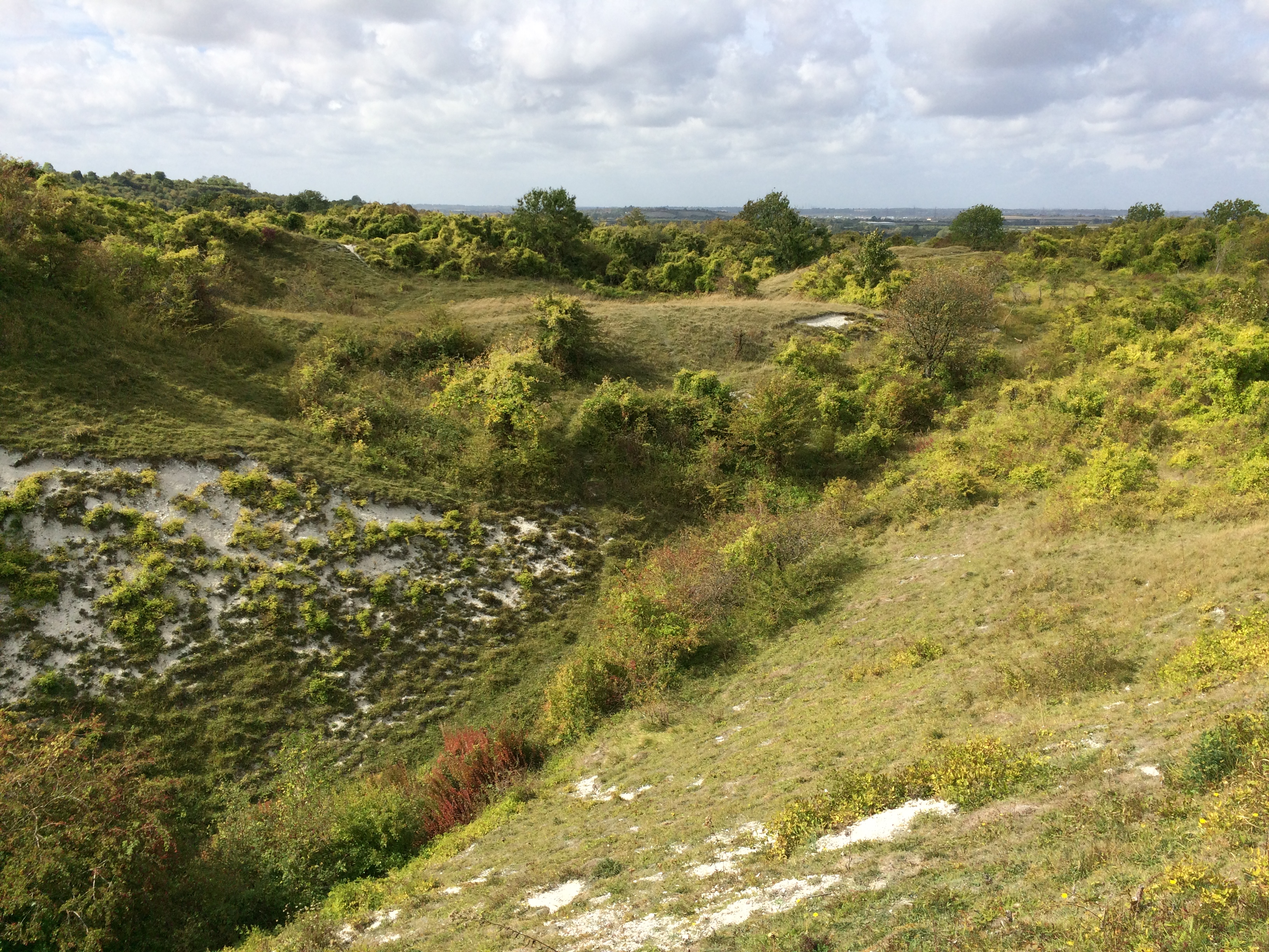 Totternhoe Quarry Nature Reserve, managed by the Wildlife Trust for Bedfordshire, Cambridgeshire and Northamptonshire