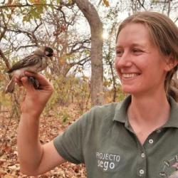 Jess Lund with greater honeyguide