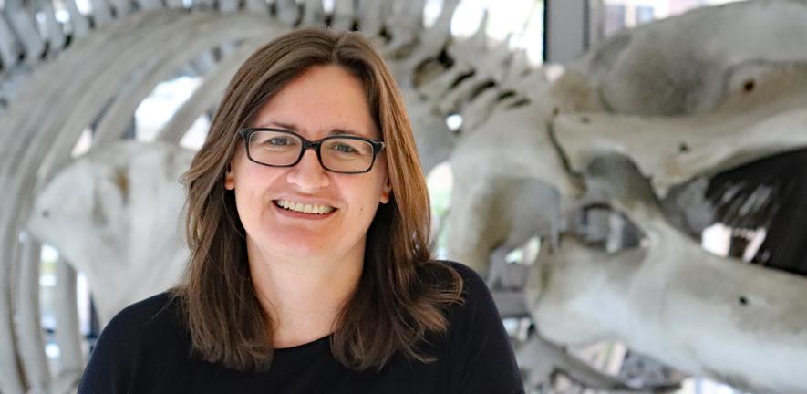Professor Rebecca Kilner, Director - Museum of Zoology